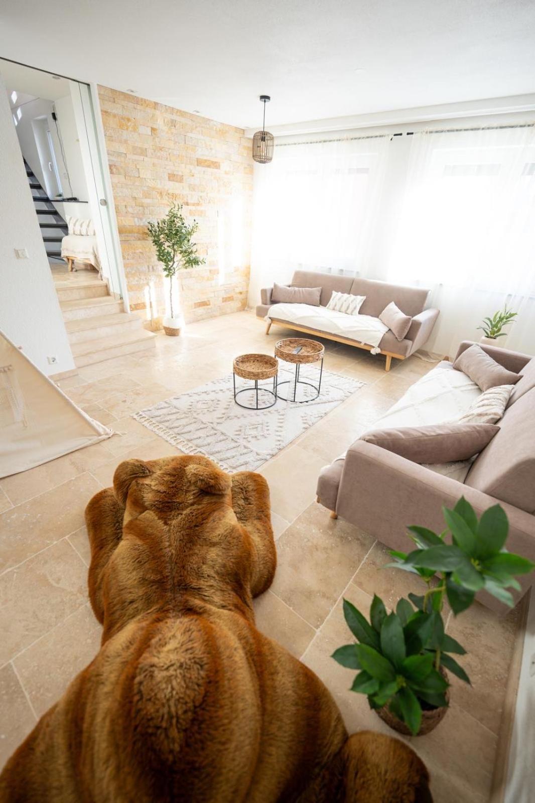 -Stadthaus Ida- Mit Grosser Dachterasse, Am Schlosspark, Luftkurort Kisslegg, Boxspringbetten, Kaffeevollautomat, Smarttv, Familienfreundlich, Grosszuegig, Zentral Luaran gambar